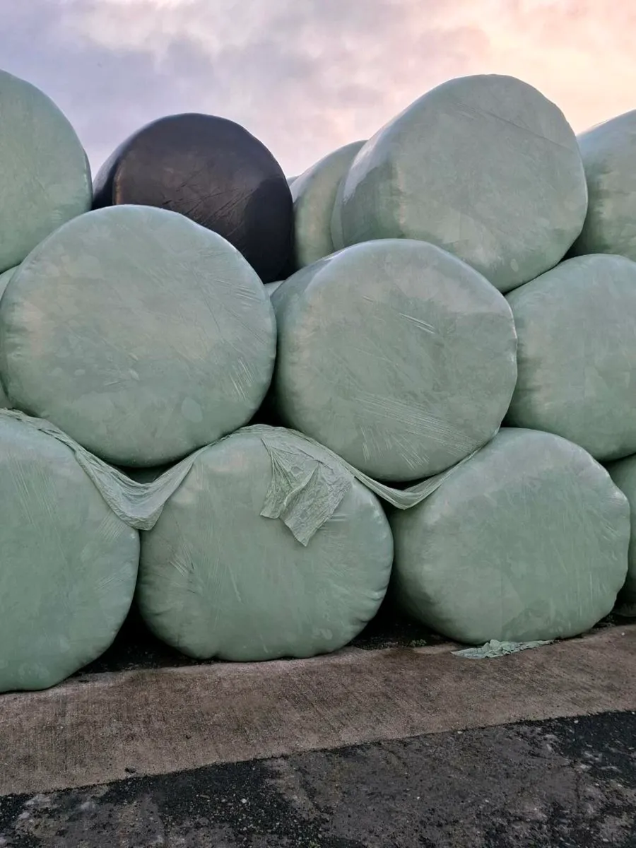 Top Quality bales - Image 2