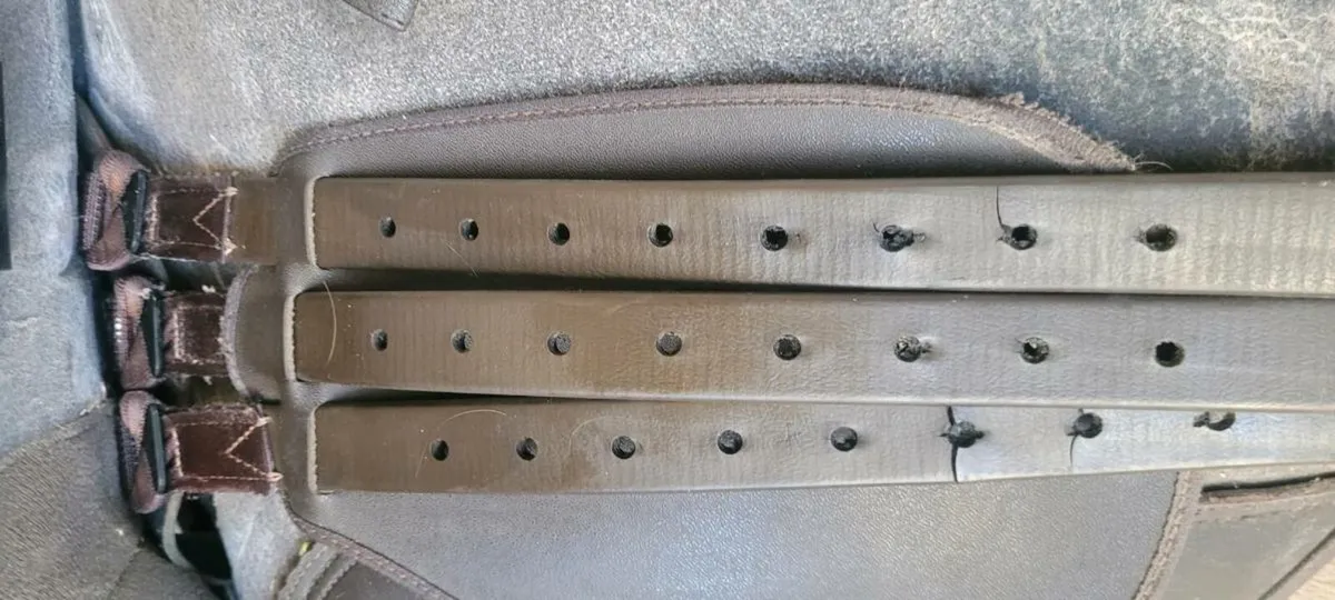 Wintec brown 17.5 saddle - Image 4