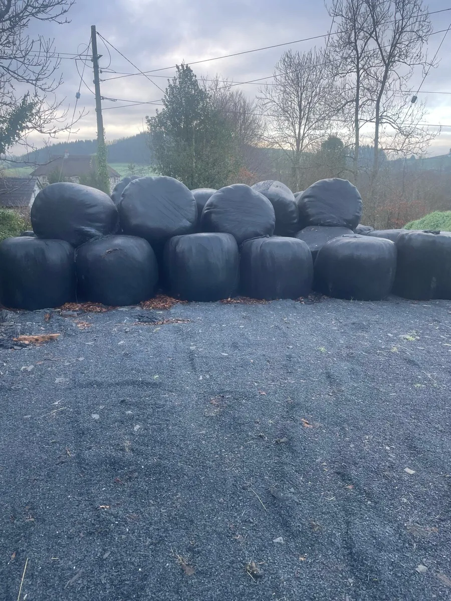 Silage bales