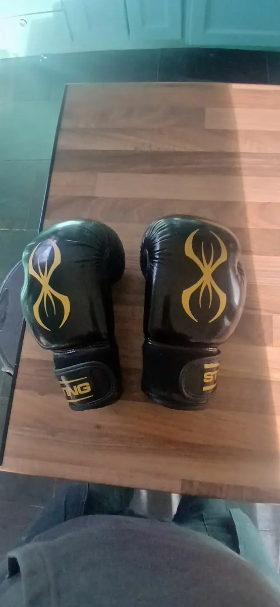 Boxing Gloves - Image 1