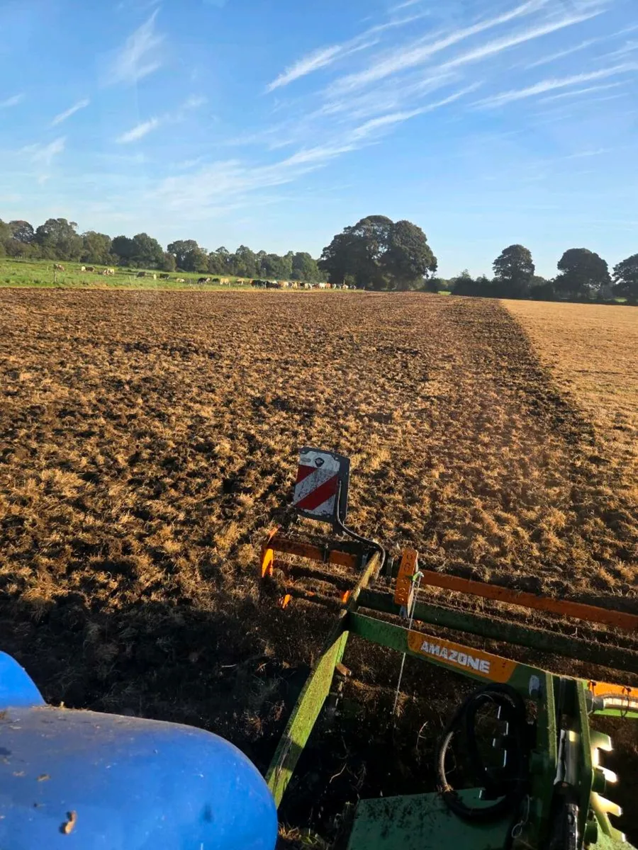 Reseeding / Grass stitching - Image 2