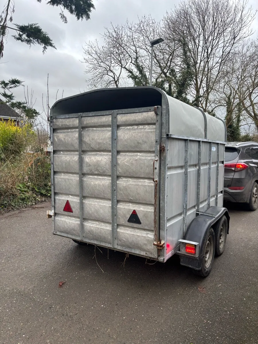 Cattle trailer - Image 3