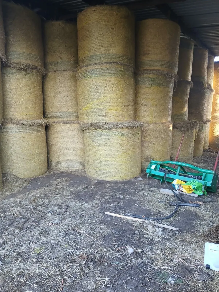 Hay and silage - Image 1