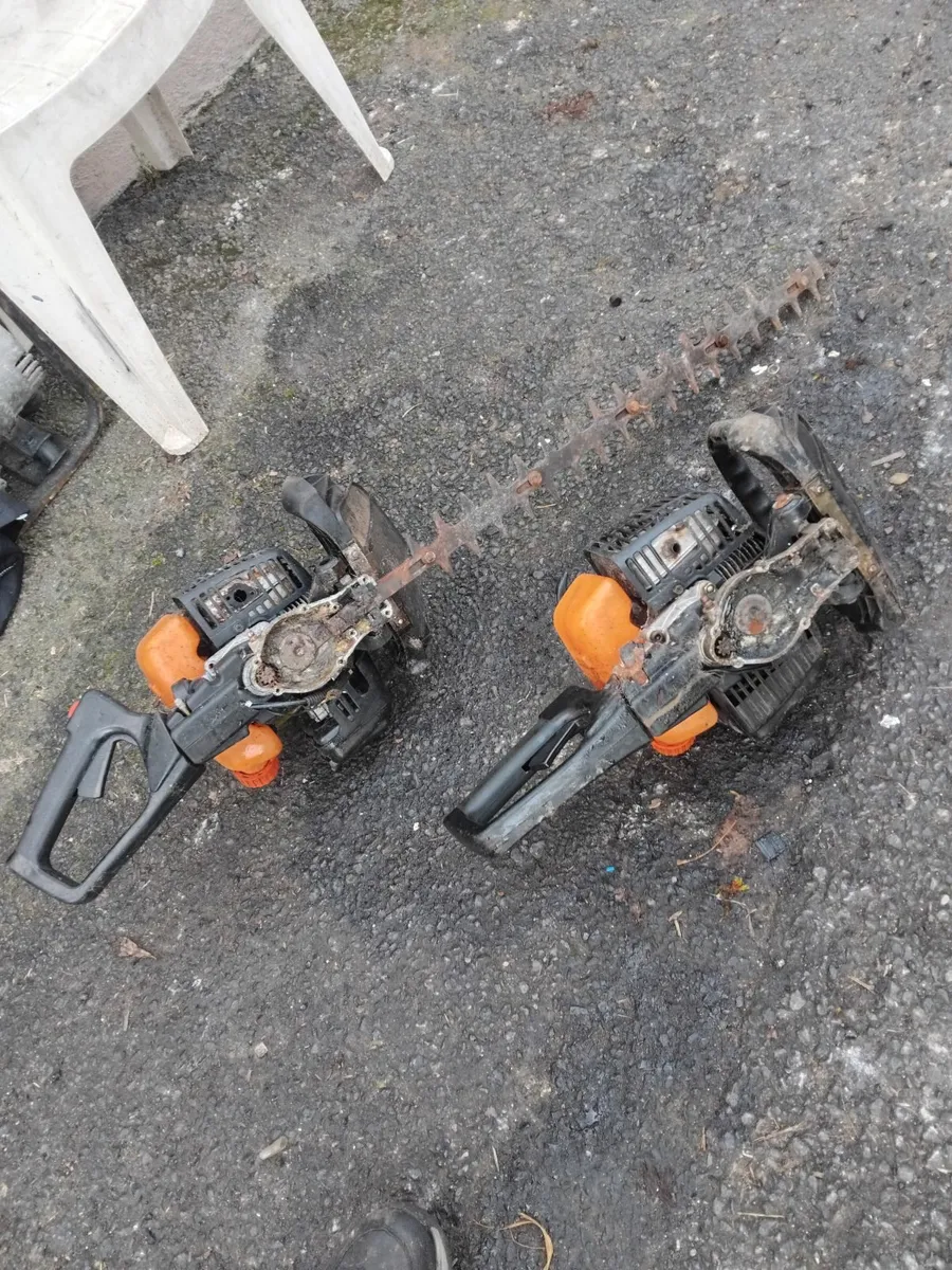 2 tanaka hedge strummers read add - Image 3