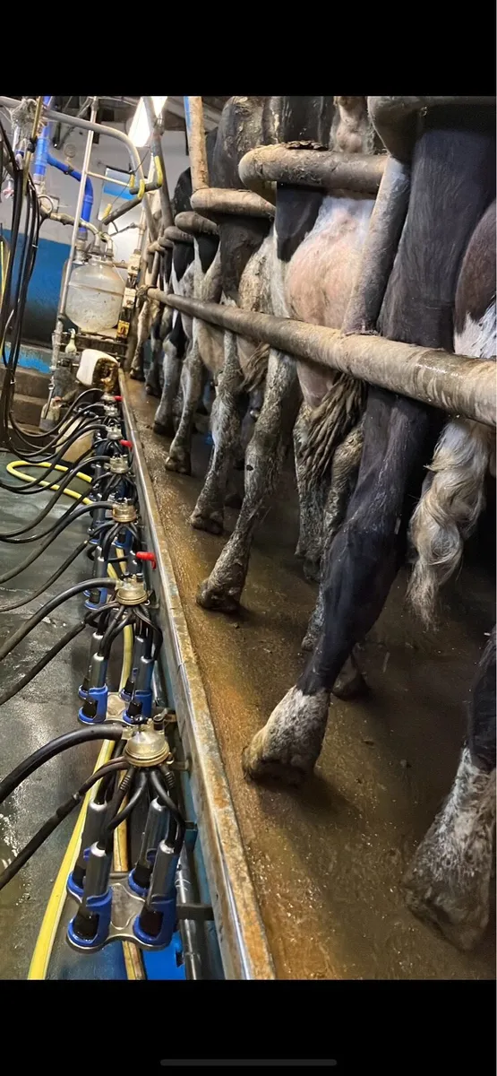 9 unit Delaval - Image 2