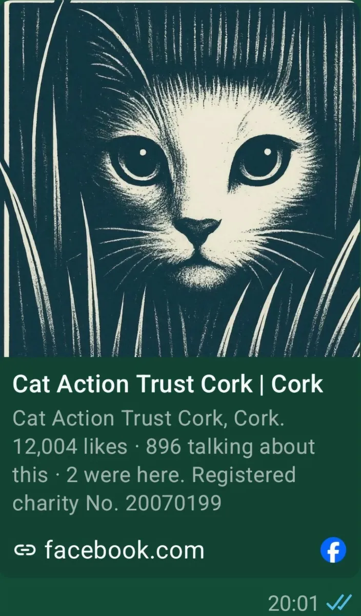 Adopted - Thanks! - Image 1