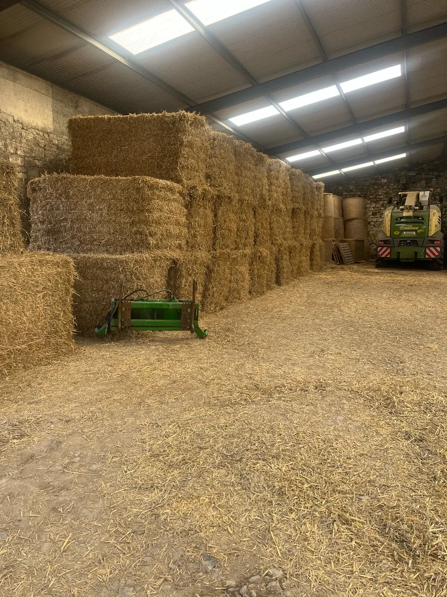 8x4x4 barley straw - Image 1