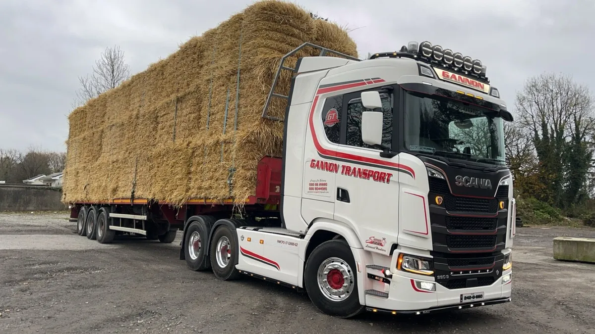 8x4x4 barley straw - Image 3