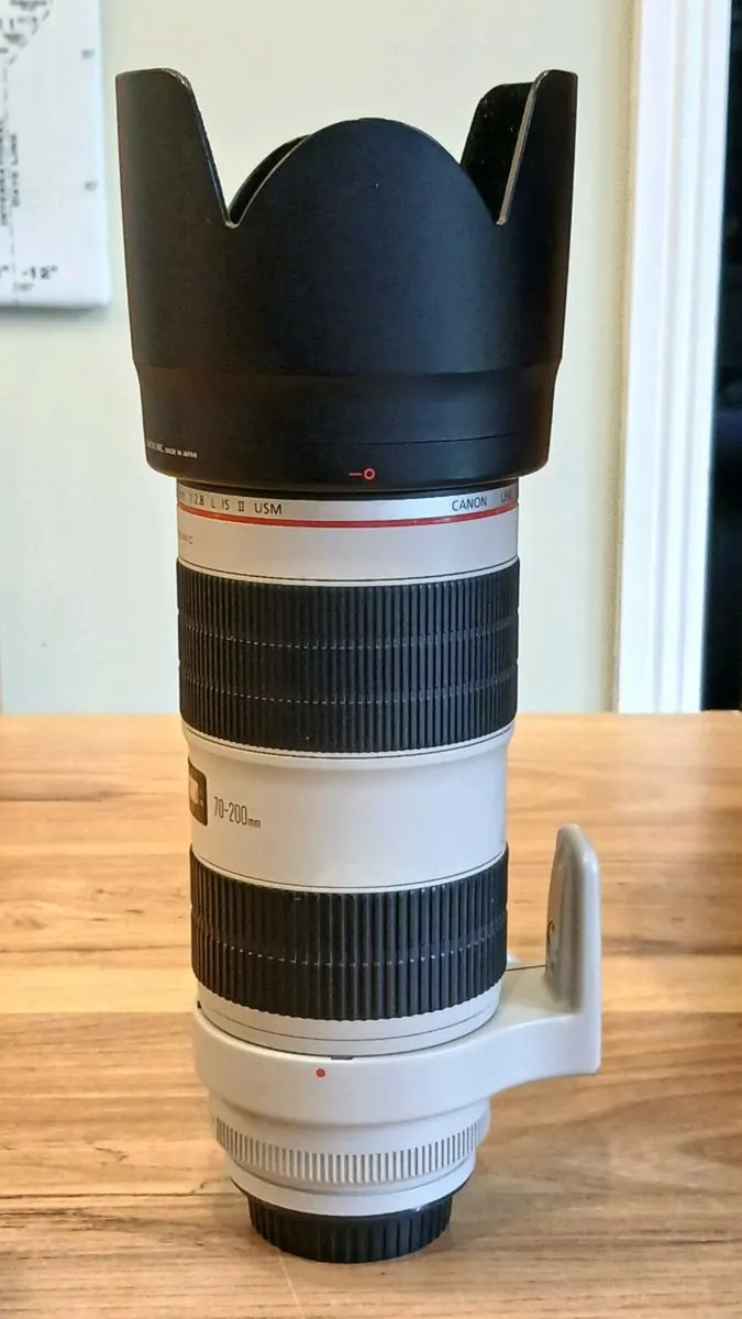 Canon 70mm-200mm f2.8 lens - Image 1