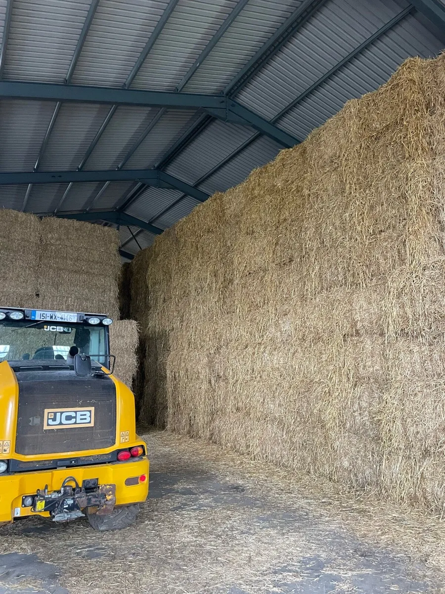 Barley and oat straw - Image 1