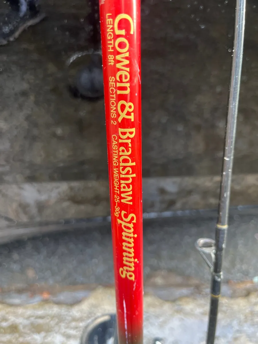 Vintage sea spin fishing rod/heavy pike rod - Image 2