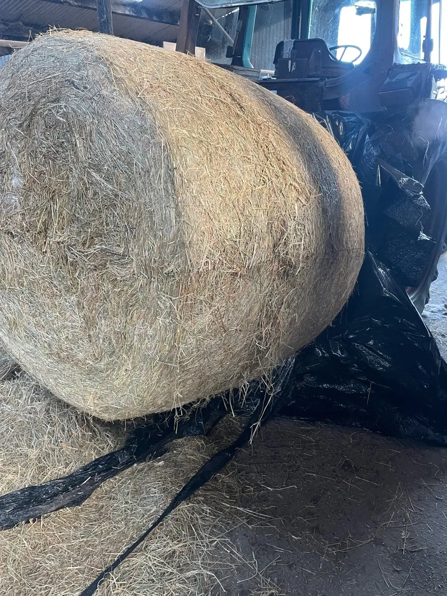 Haylage for sale - Image 3