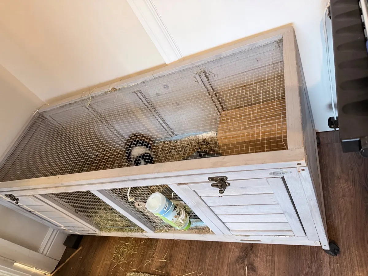 Guinea pig hutch - Image 1