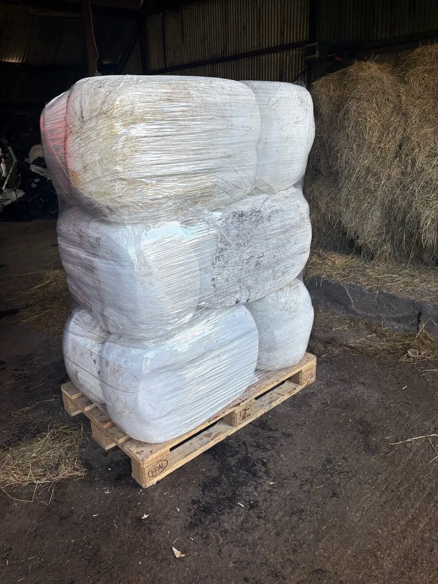 Premium Haylage- Nationwide Delivery - Image 2