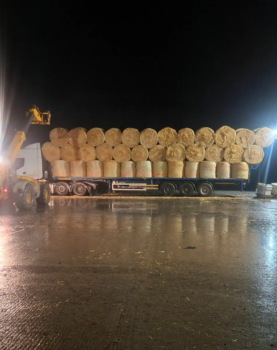 For sale chopped and unchopped  4x4 barley straw