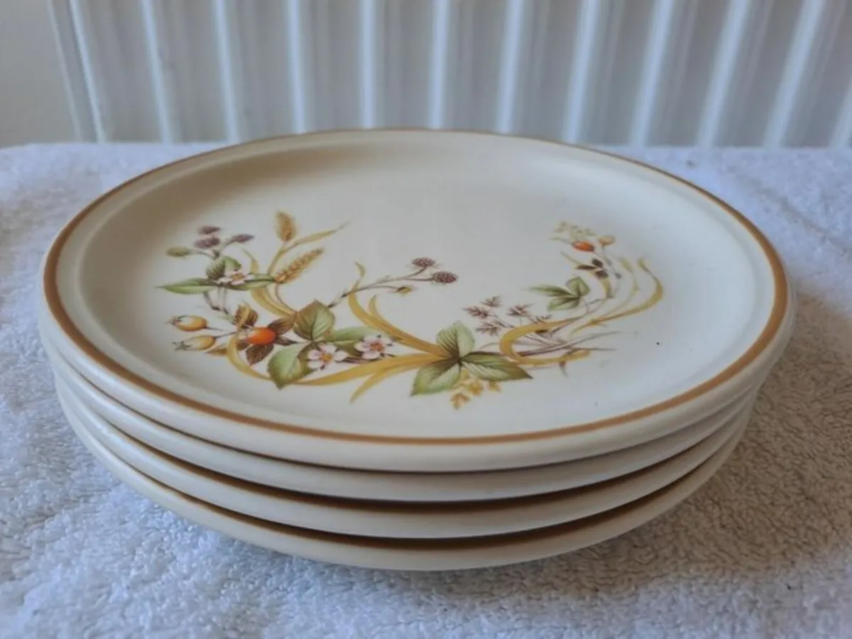Vintage Harvest plates - Image 1