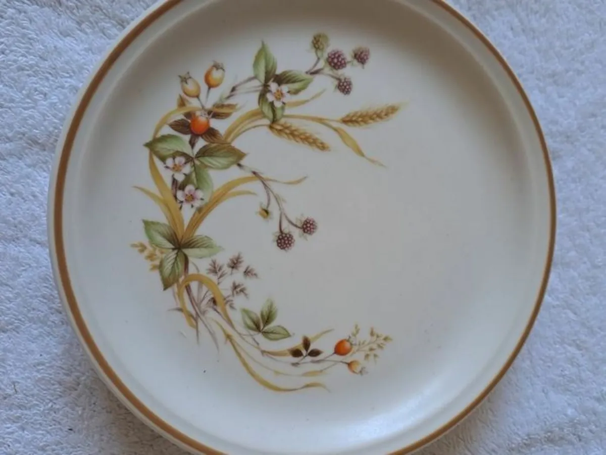 Vintage Harvest plates - Image 2