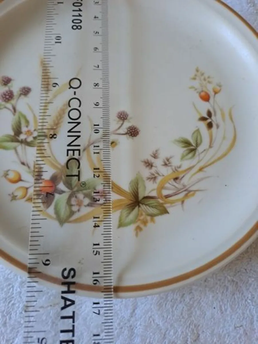 Vintage Harvest plates - Image 3