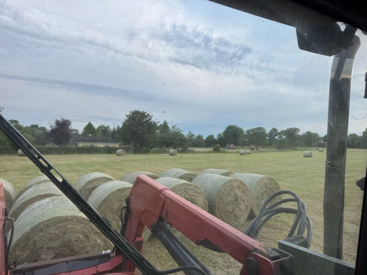 Hay for sale - Image 1