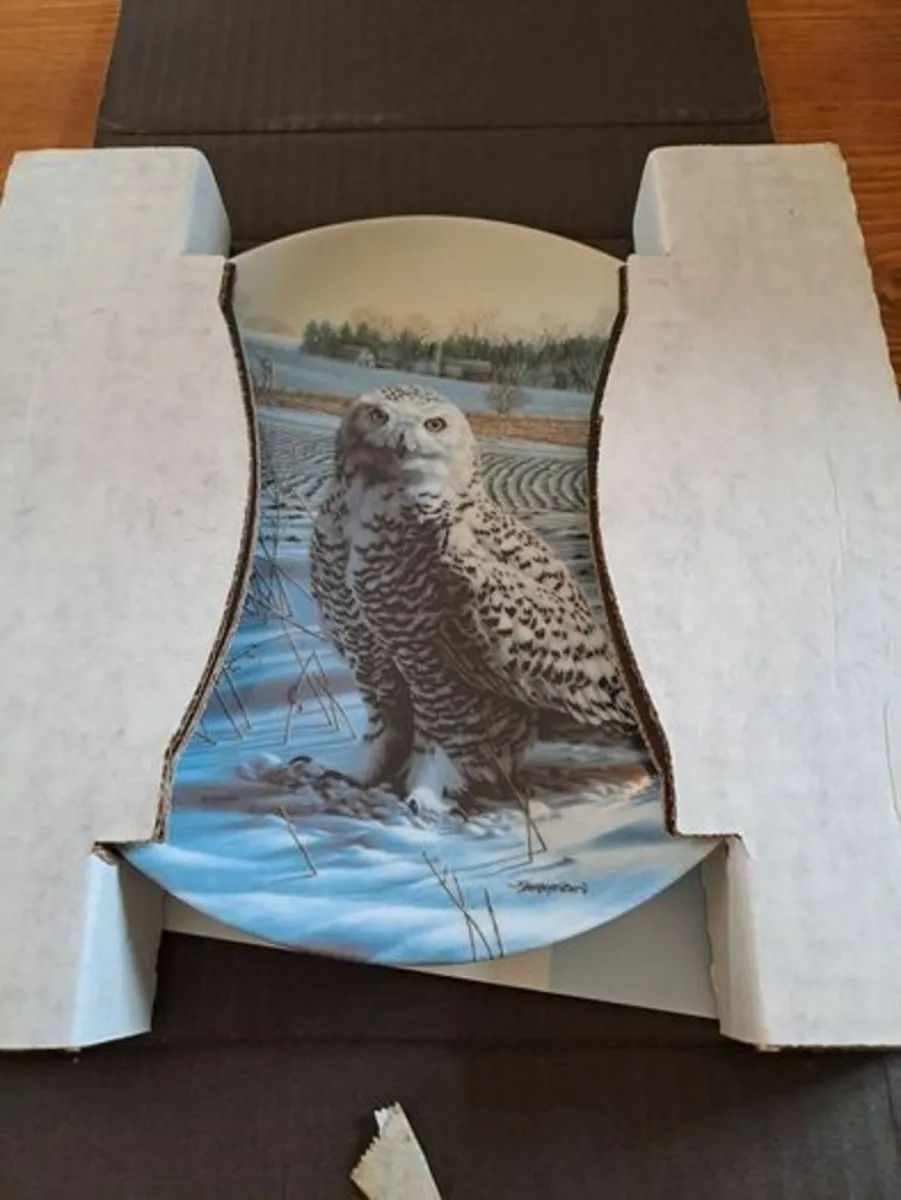 The Snowy Owl Plate 1989 - Image 2