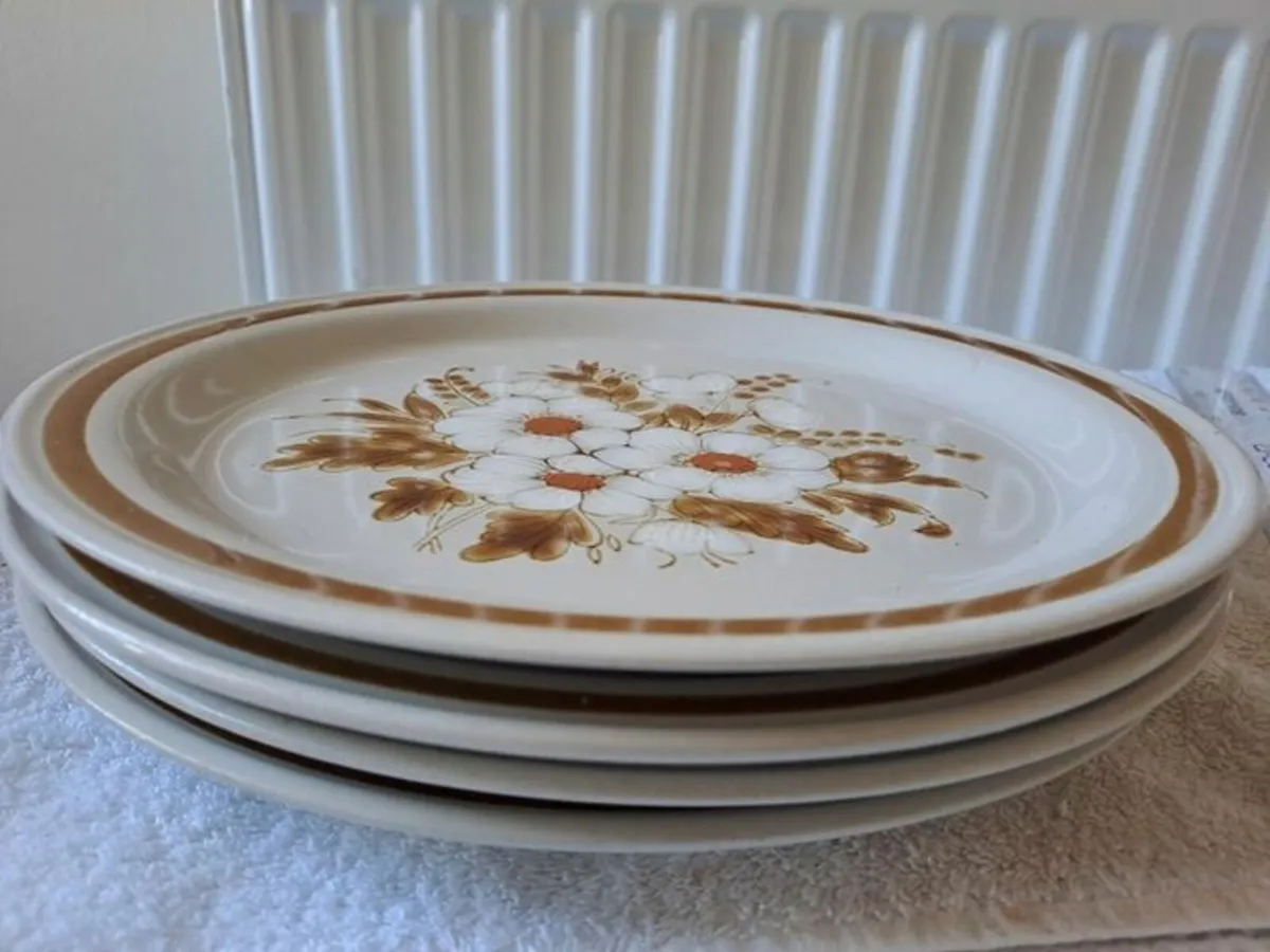 Vintage Mountain Wood plates - Image 1