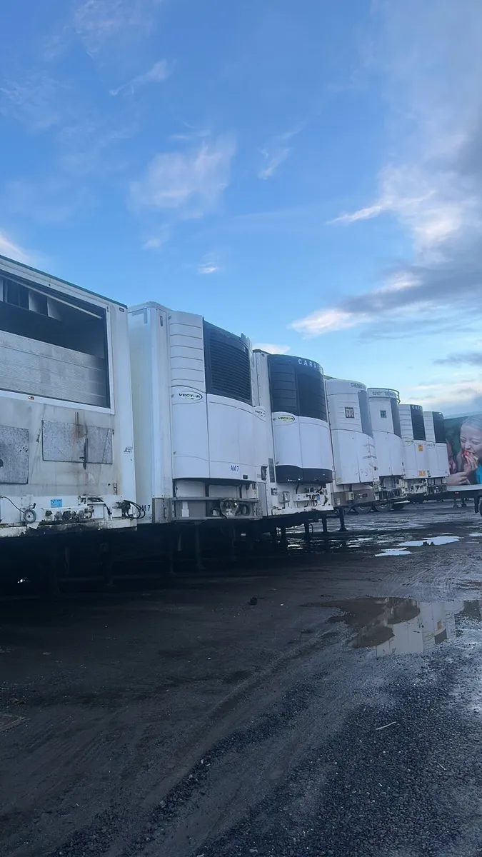 Fridge trailer - Image 2