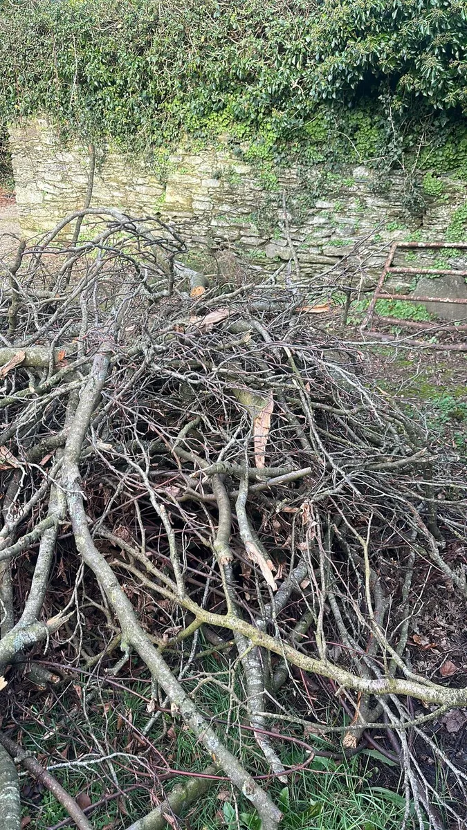 Wood chipping service nationwide - Image 2