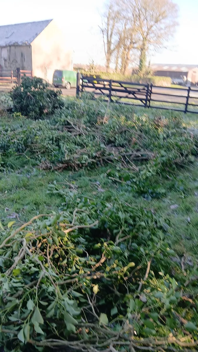 Wood chipping service nationwide - Image 3