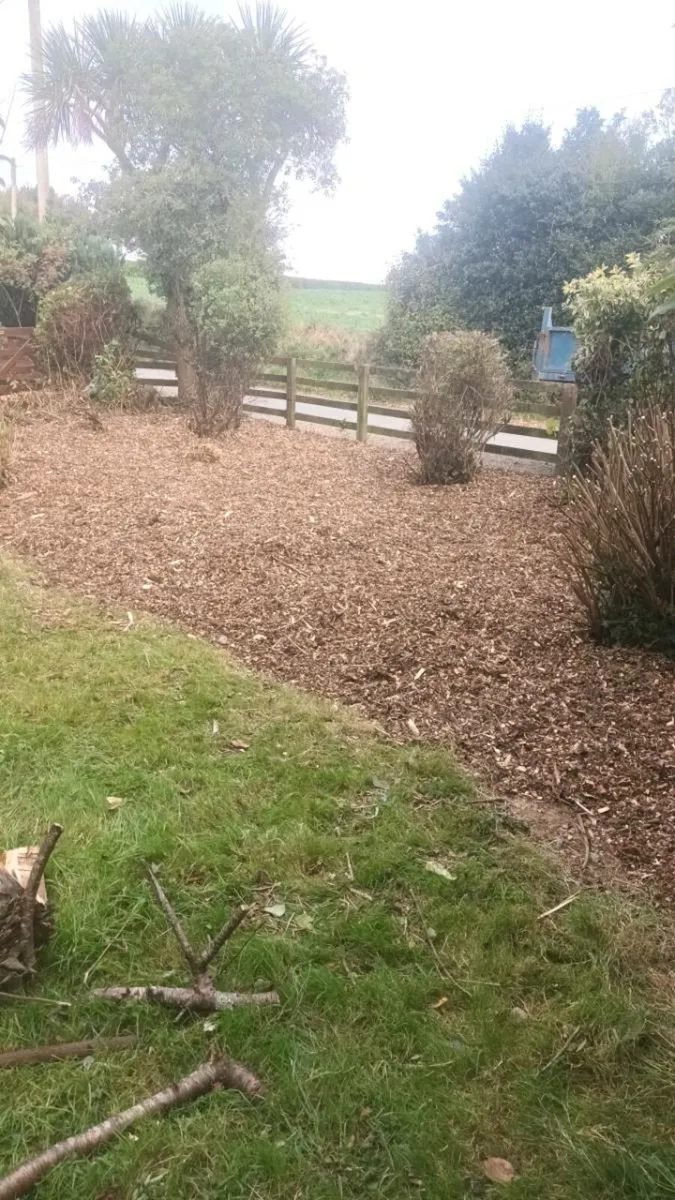 Wood chipping service nationwide - Image 4