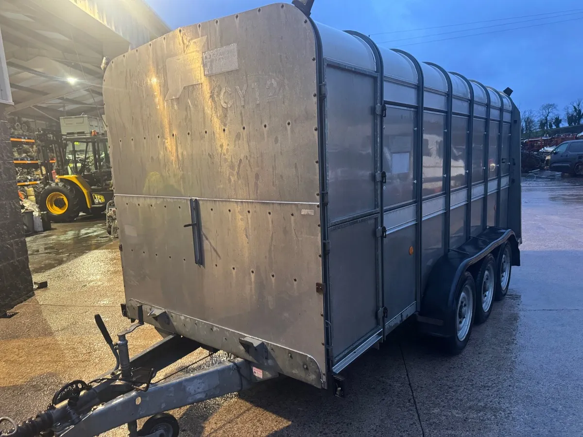 IFOR WILLIAMS TA510 G3-14 CATTLE TRAILER - Image 4