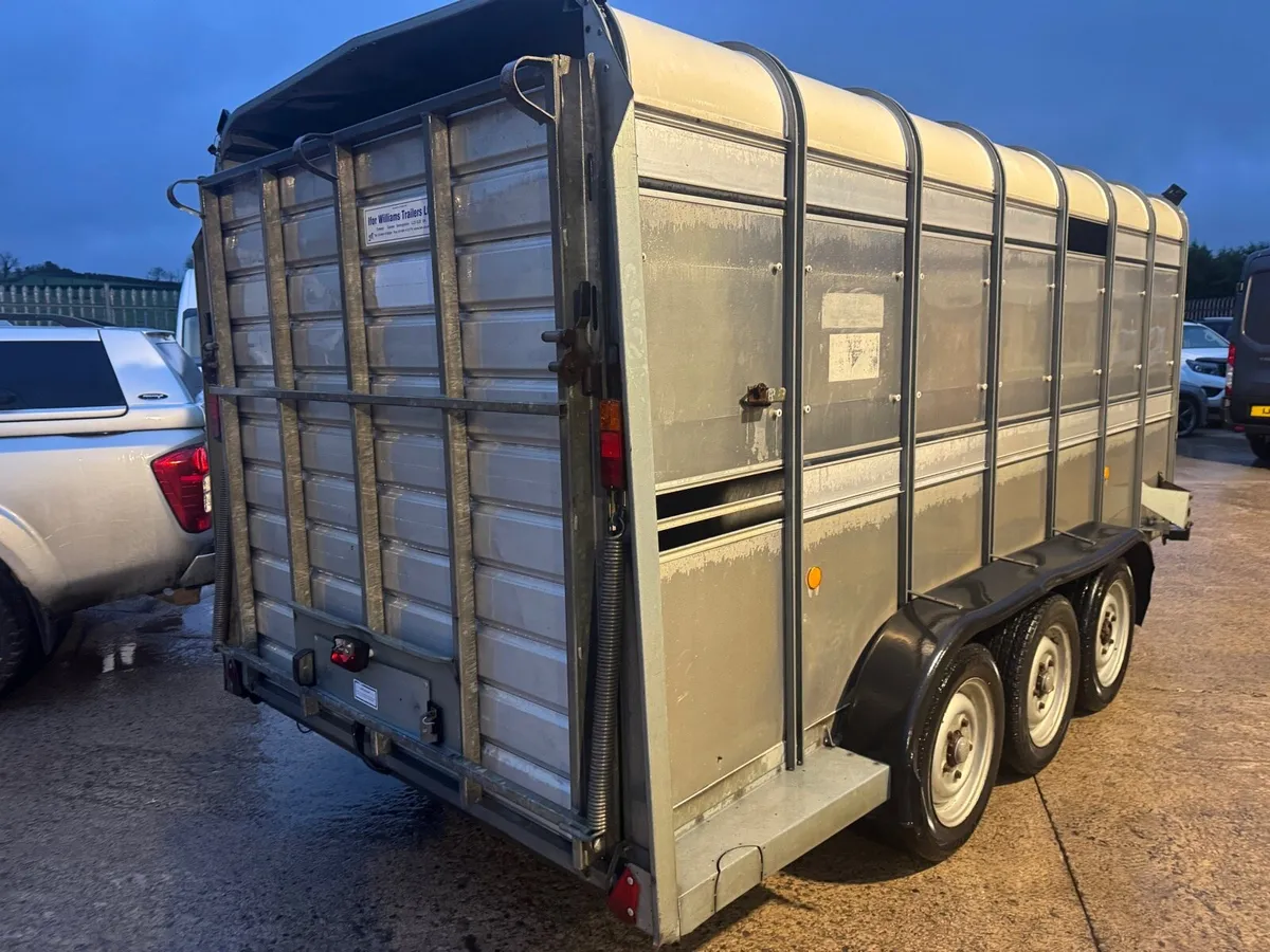 IFOR WILLIAMS TA510 G3-14 CATTLE TRAILER - Image 2