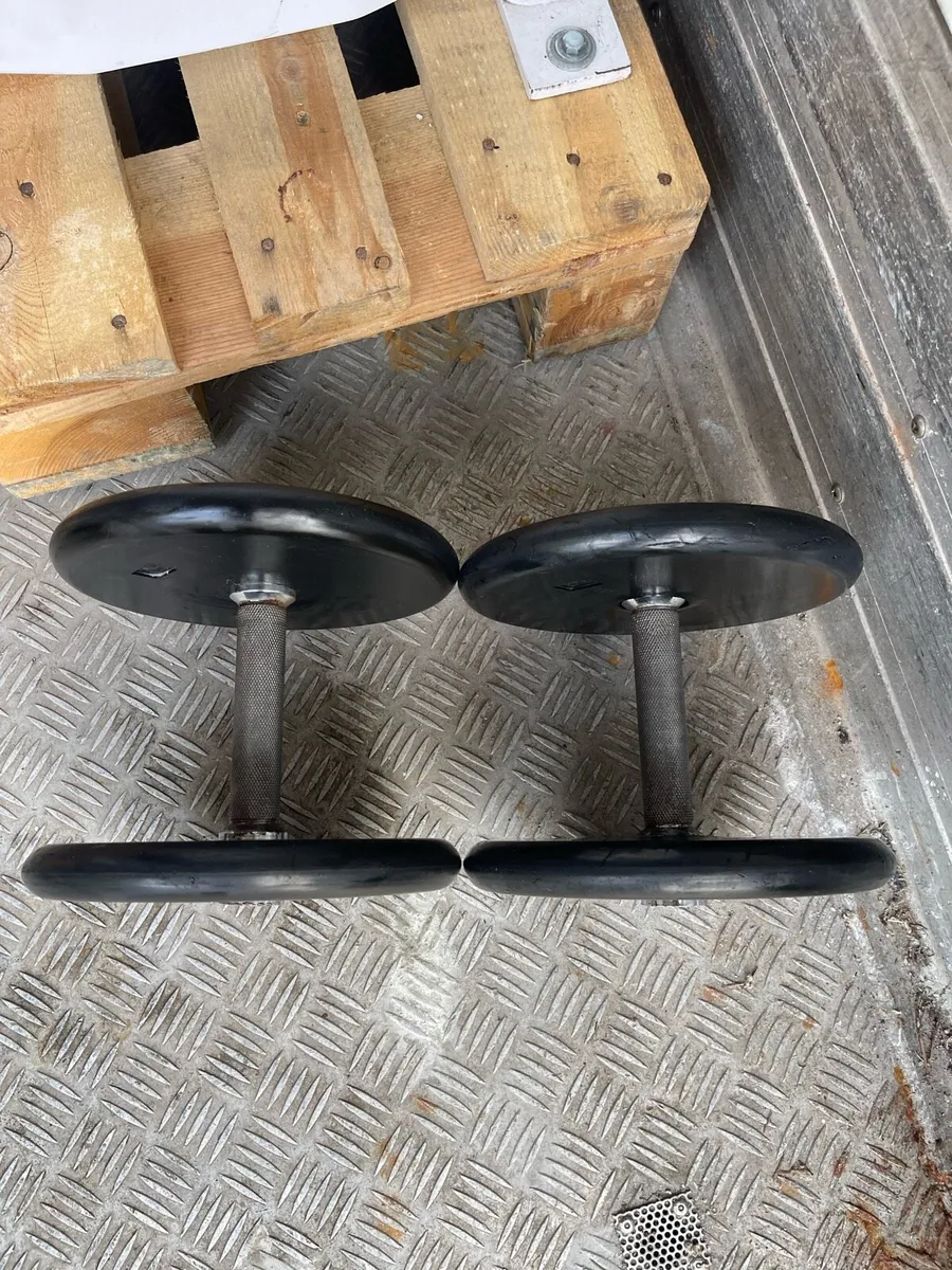 10kg Dumbbell Pair - Image 2