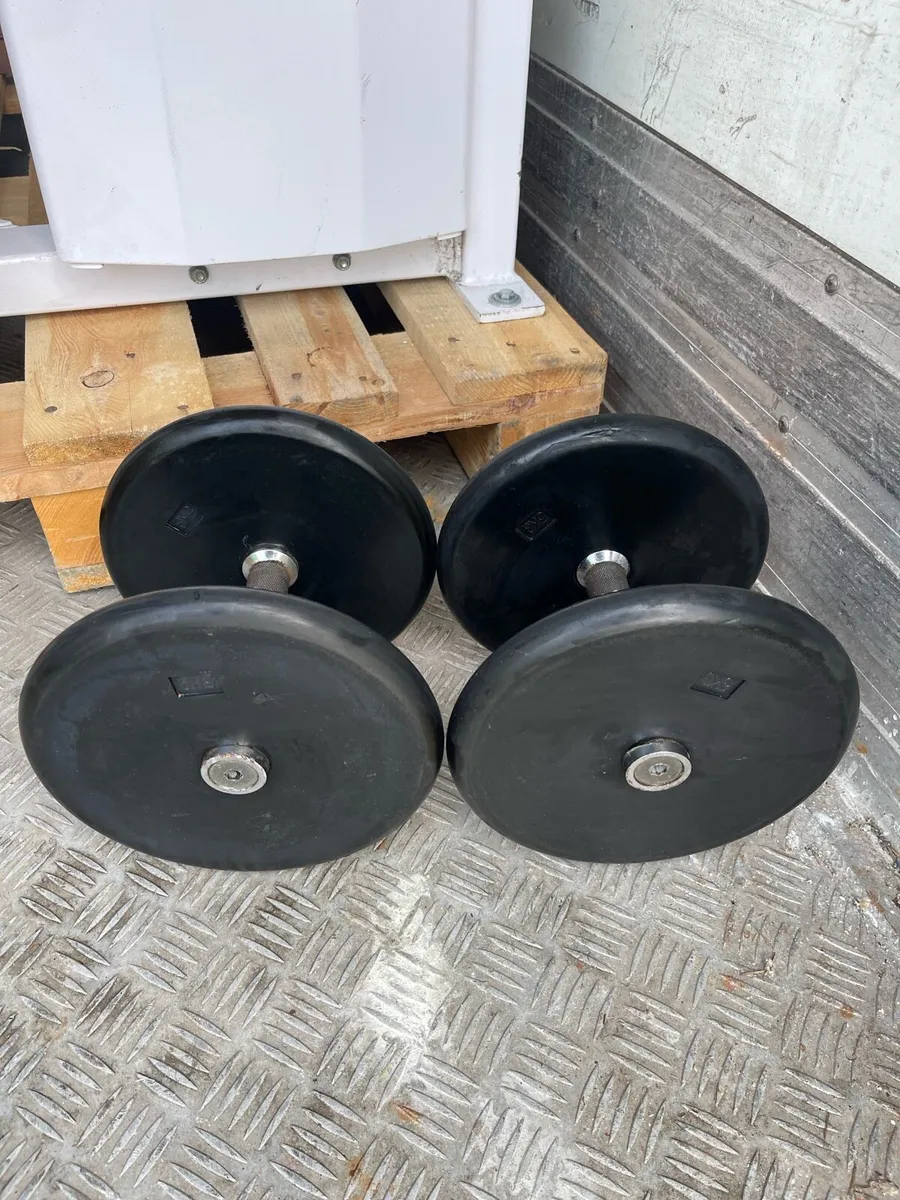 10kg Dumbbell Pair - Image 1