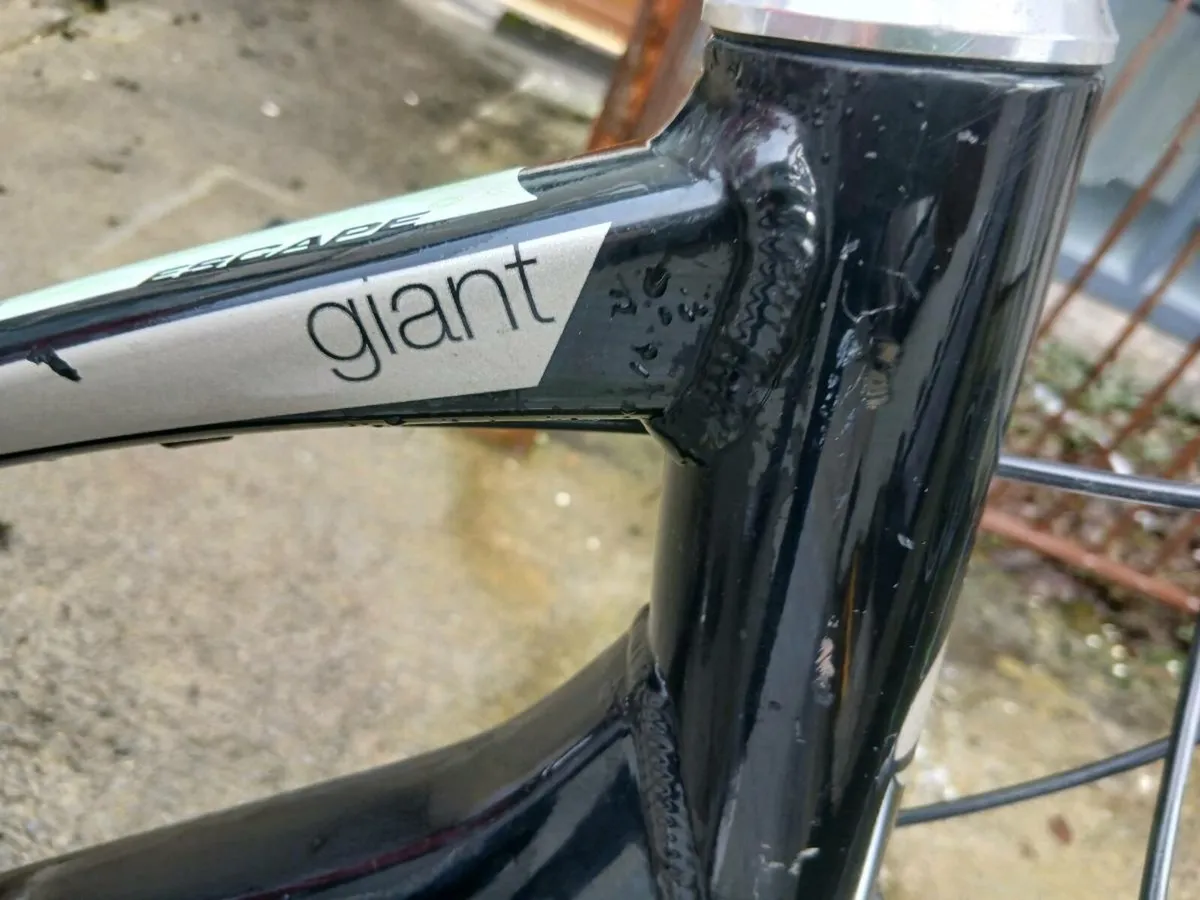 LADYS BIKE - Image 4