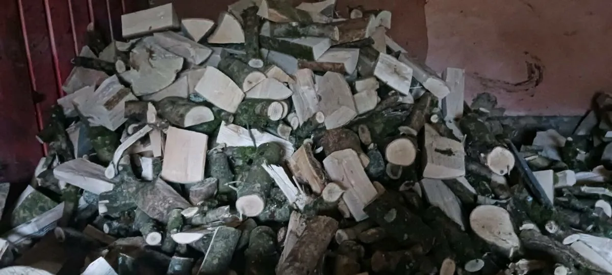 Ash hardwood firewood bags - Image 1