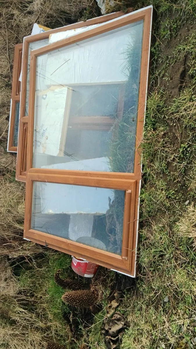 Pvc windows double glazed - Image 1