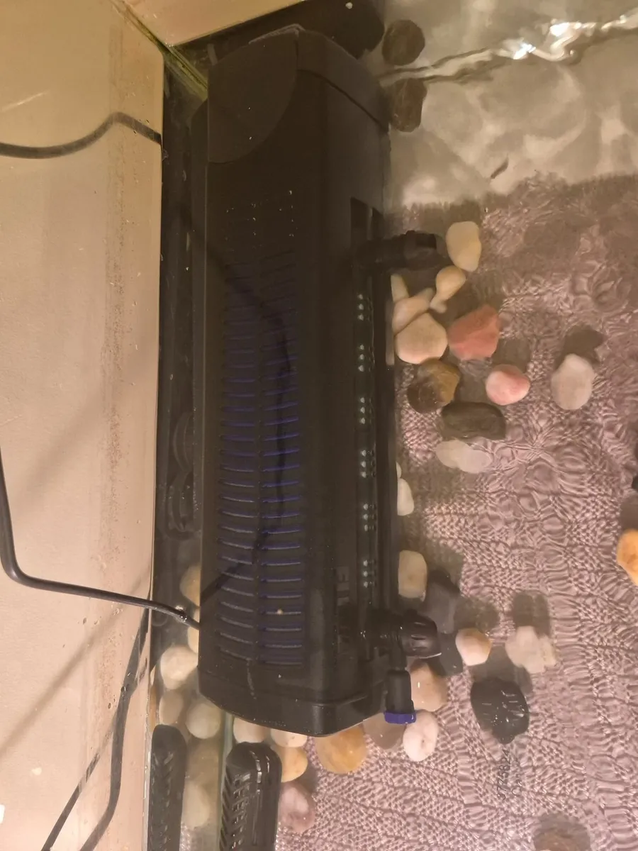 Turtle tank - Image 2