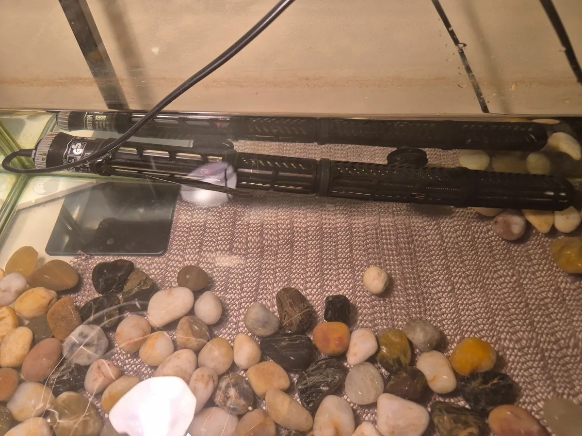 Turtle tank - Image 4