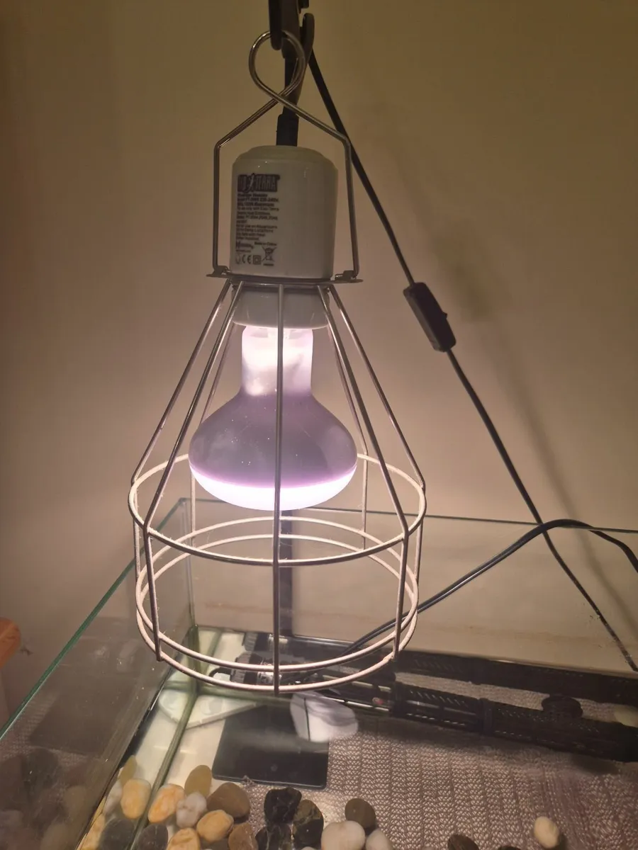 Turtle tank - Image 3