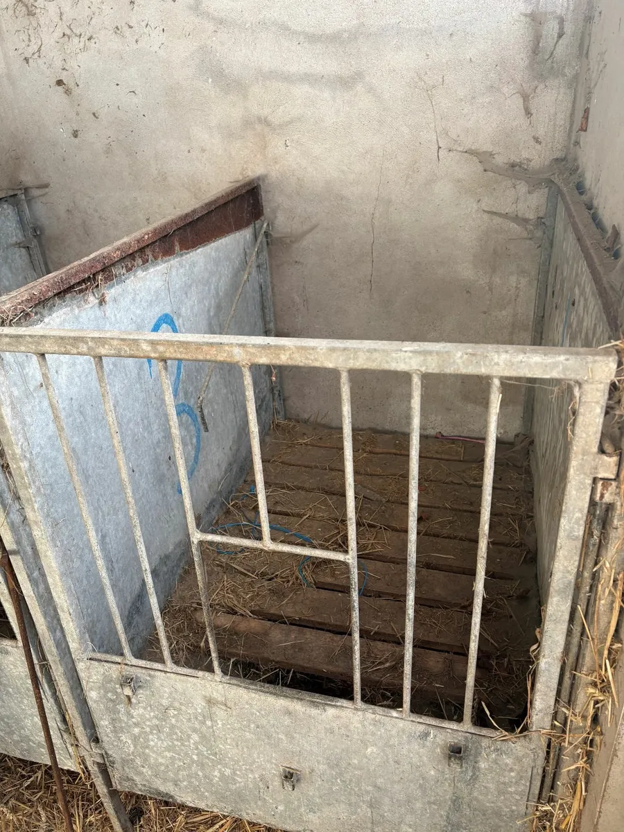 Calf pens - Image 2