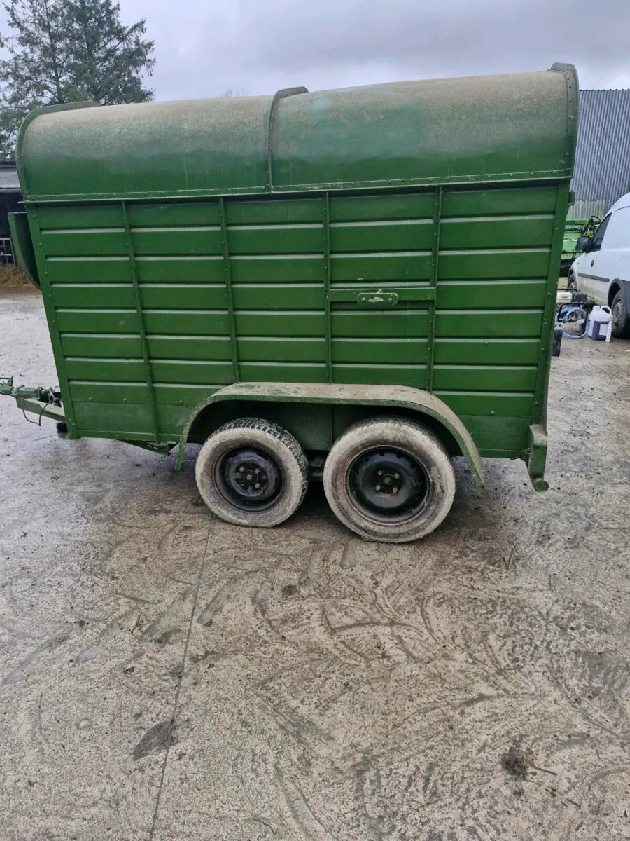 Cattle trailer - Image 3