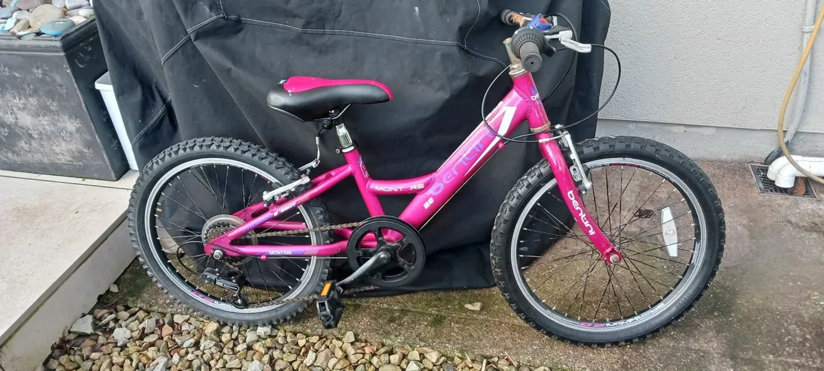 Girls Bike - Image 1