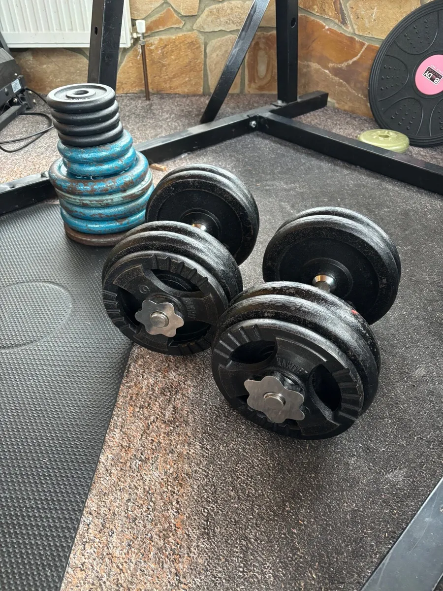 Set of Dumbbells for sale - Image 4