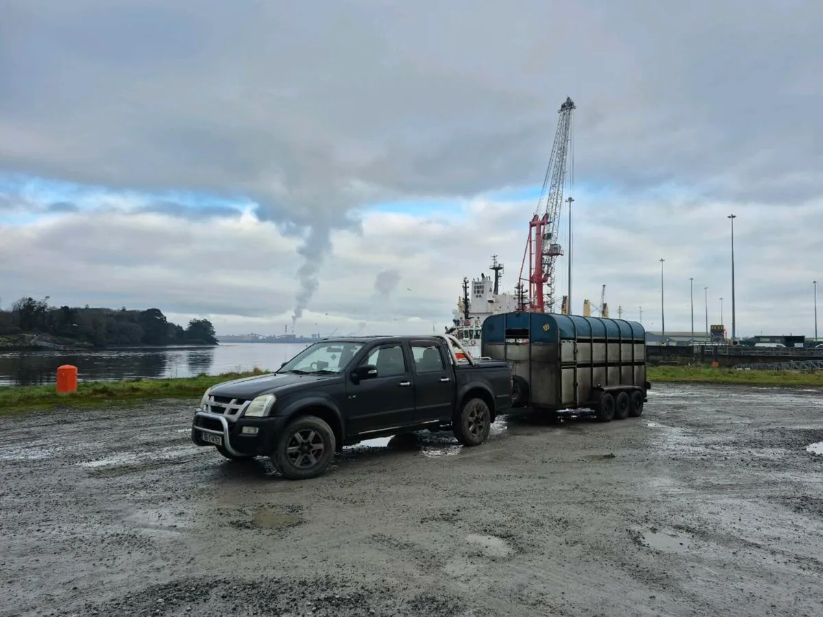 Cattle haulage - Image 4