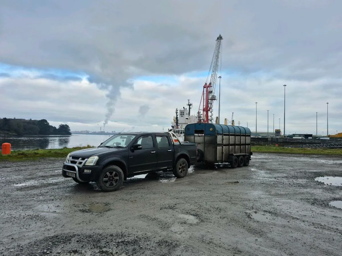 Cattle haulage - Image 3