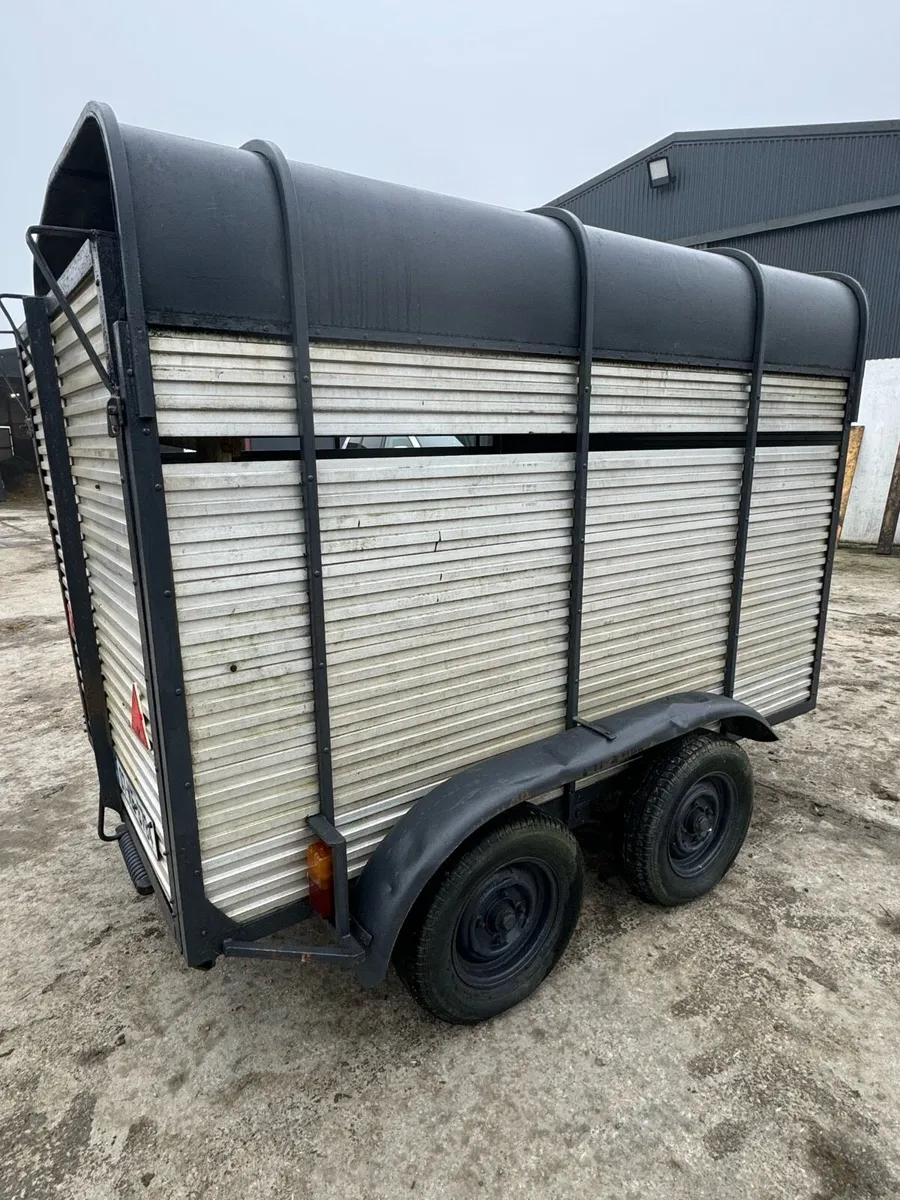 Cattle trailer - Image 3