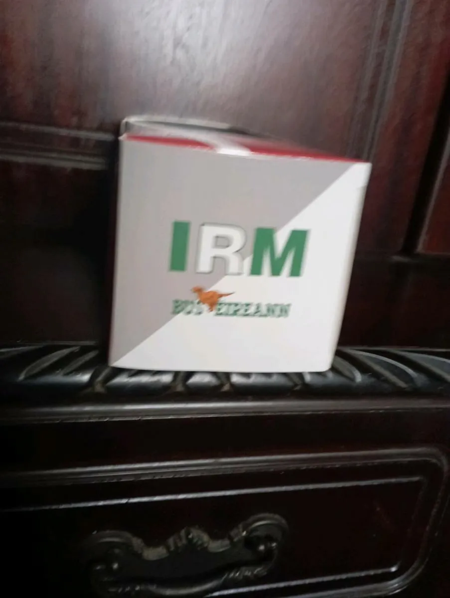 CORK CITY  BUS EIREANN SHUTTLE BUS - Image 4