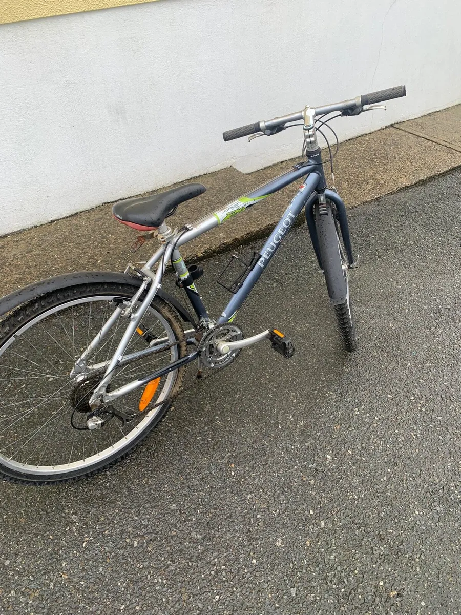 Boy’s Bike - Image 2