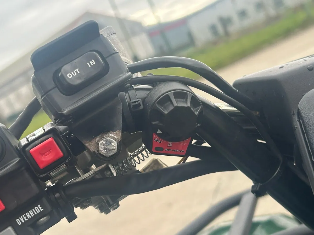 Yamaha grizzly - Image 2