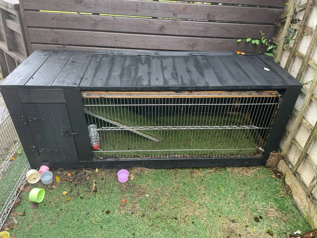 2 Rabitts and house free to a good home. - Image 4